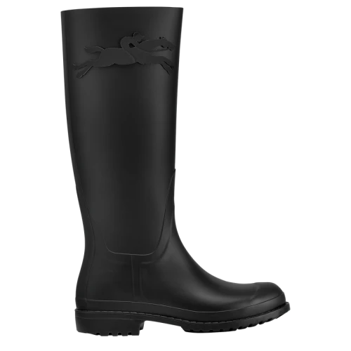 Flat Boots Cheval Longchamp