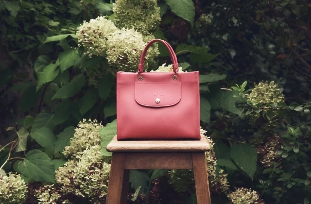 Cabas Longchamp