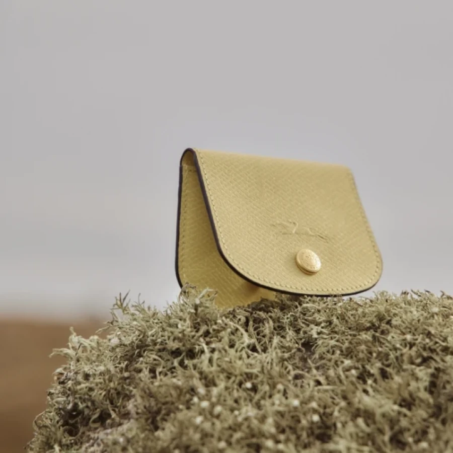 longchamp small leather goods