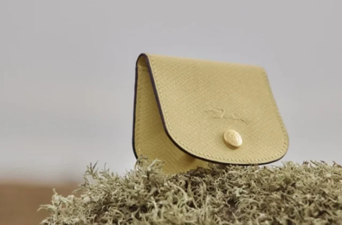 longchamp small leather goods