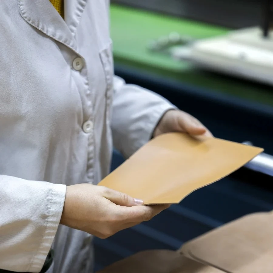 Η ΤΕΧΝΗ ΤΗΣ ΔΕΡΜΑΤΟΤΕΧΝΙΑΣ