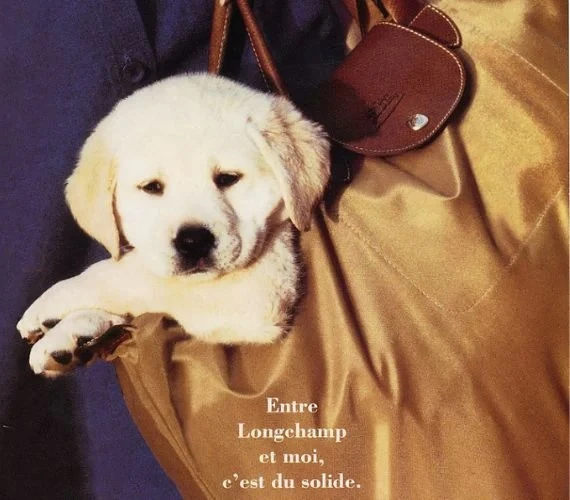 Le Pliage: Η τσάντα-σύμβολο που κατέκτησε τον κόσμο