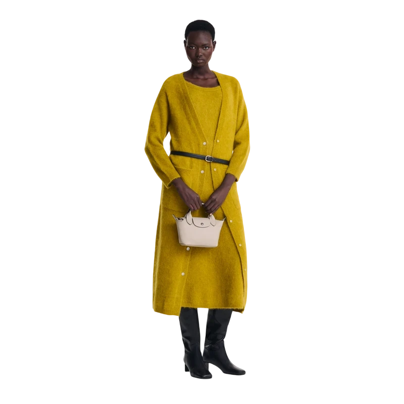Handbag XS Le Pliage Xtra
