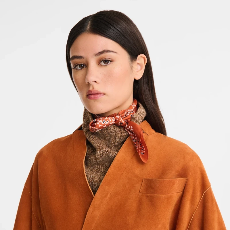 Silk scarf 50x50 French Bandana