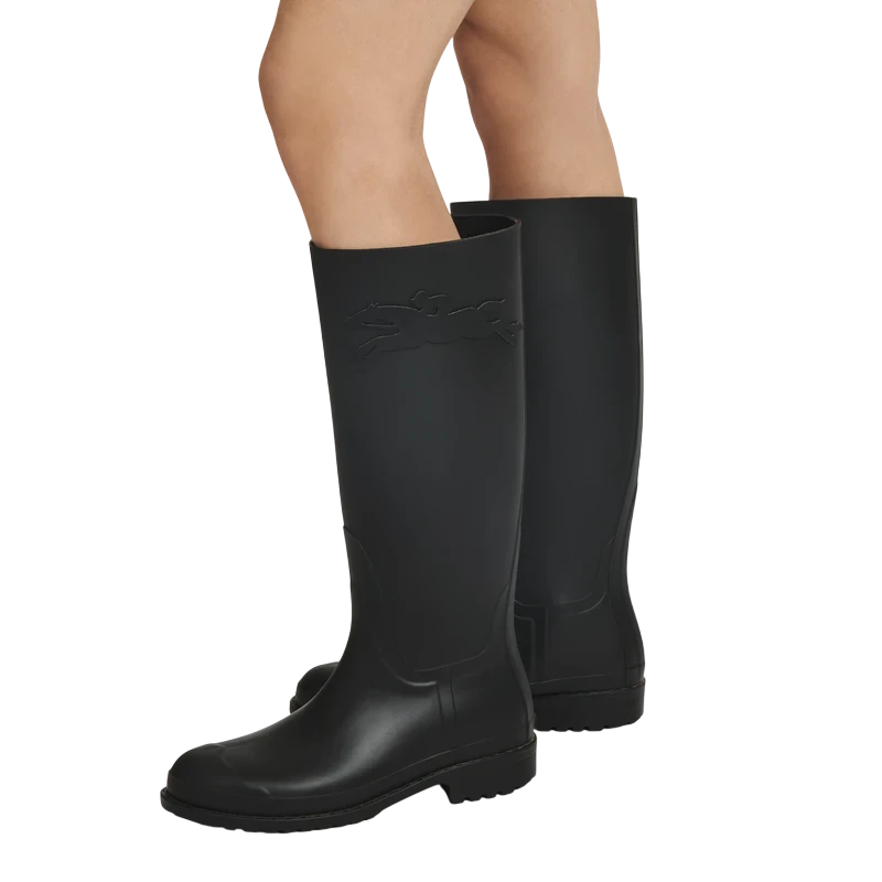 Flat Boots Cheval Longchamp