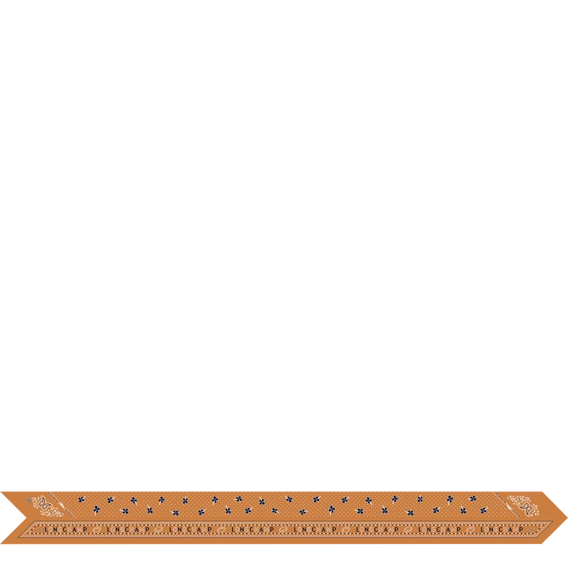 Headband 120X5 French Bandana