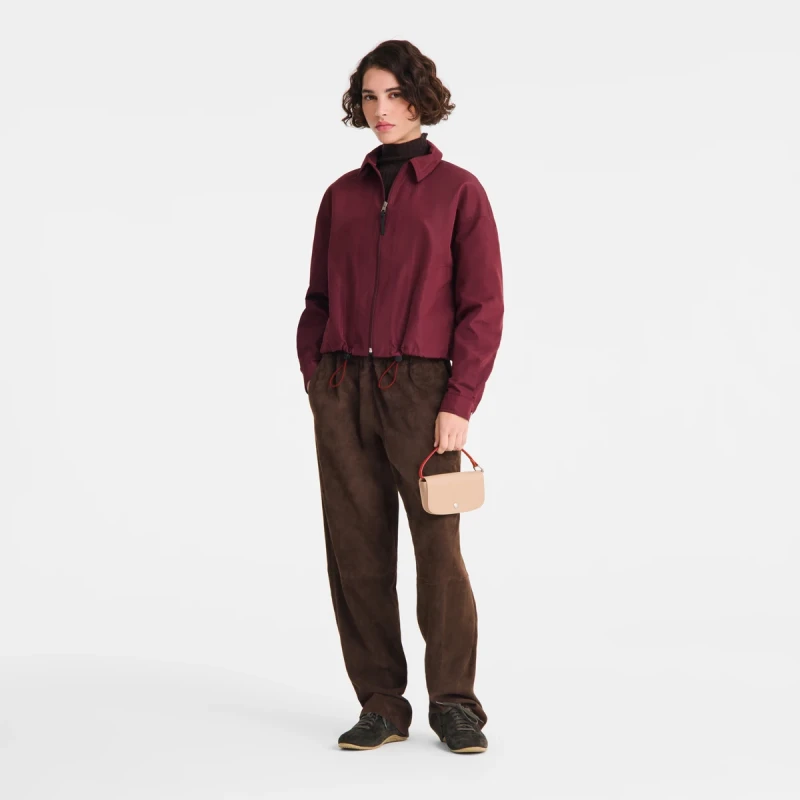 Eyewear case Le Pliage Collection