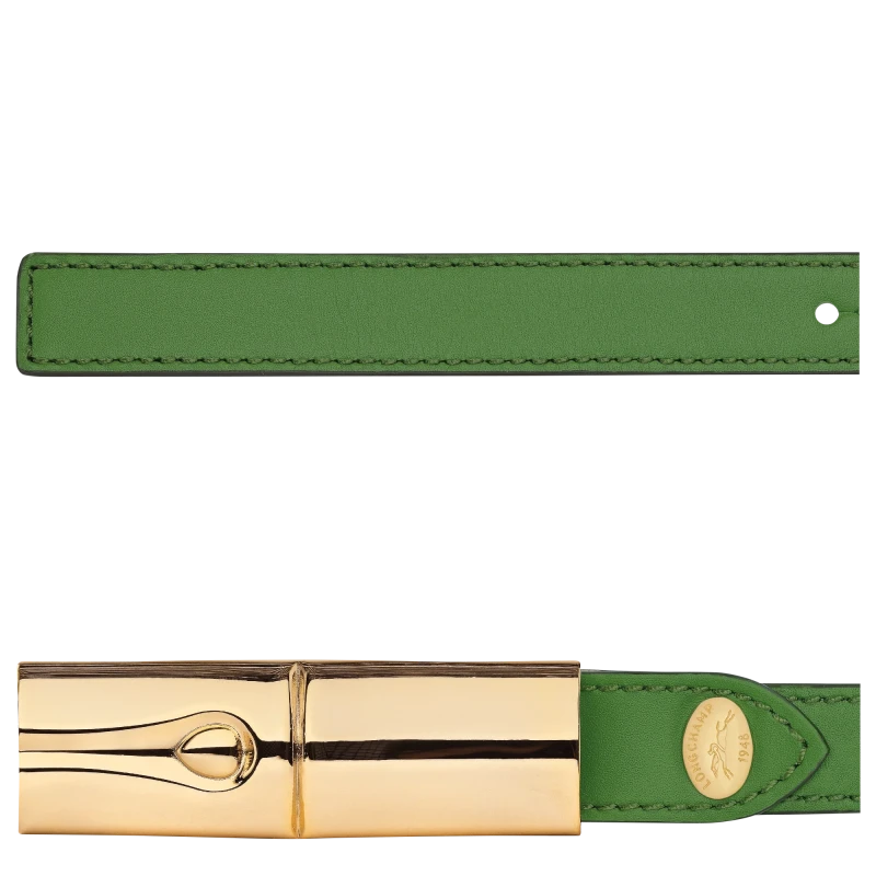 Ladies' belt Le Roseau 95X2